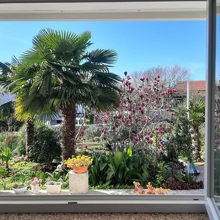 Apartments Summer Bloom Крк Экстерьер фото